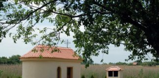 ВОДИЦА ПОСВЕЋЕНА УСЕКОВАЊУ ГЛАВЕ СВ. ЈОВАНА КРСТИТЕЉА