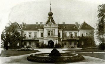 ДВОРАЦ У ВЛАЈКОВЦУ