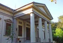 СВЕ ЈЕ ПОЧЕЛО ОД ГОЛУБА