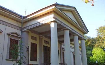 СВЕ ЈЕ ПОЧЕЛО ОД ГОЛУБА
