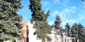 Милош Црњански – један од 100 најзнаменитијих Срба (2) ВИ НИСТЕ ЖЕНА ОД КОЈЕ СЕ ЛАКО ОДУСТАЈЕ