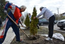 Локална самоуправа Опова у акцији „Зелена Војводина“ ДРВО ПО ДРВО, ЕТО И ЗЕЛЕНЕ ОПШТИНЕ