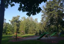 Бројне и разноврсне активности ЈКП „Зеленило“ НОВА СТАБЛА, ДЕЧЈА ИГРАЛИШТА, БРИГА О ПОЊАВИЦИ, АЛИ И О ЈЕДНОЈ БУКВИ…
