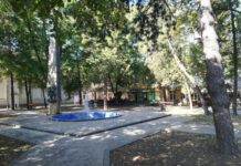Полагањем венаца обележен 2. октобар, Дан Опова ОБЕЛИСК ПОБЕДЕ ЖИВОТА НАД СМРЋУ