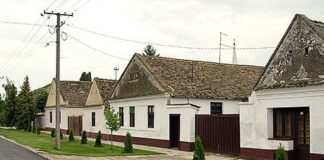 Најмање село у општини Ковин налази се у друштву села Србије са највише туристичких ноћења МАЂАРИ ИЗ РУМУНИЈЕ ЛИДЕРИ СЕОСКОГ ТУРИЗМА