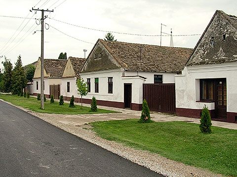 ШТА РЕЋИ... једна од скореновачких улица