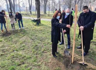 Првог дана пролећа посађено 500 стабала трешања дуж три војловачке улице ТРЕШЊЕ, НИЈЕ ТО СЛУЧАЈНО!
