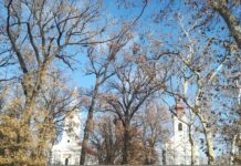 Финансијска подршка удружењима грађана, црквама и верским заједницама ОНО ШТО ЈЕ ПРИОРИТЕТ И ОНО ШТО ОСТАЈЕ