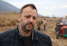 Наставља се са акцијом пошумљавања градског подручја ДРВО ПО ДРВО, ШУМСКИ ПОЈАС, ОАЗЕ…