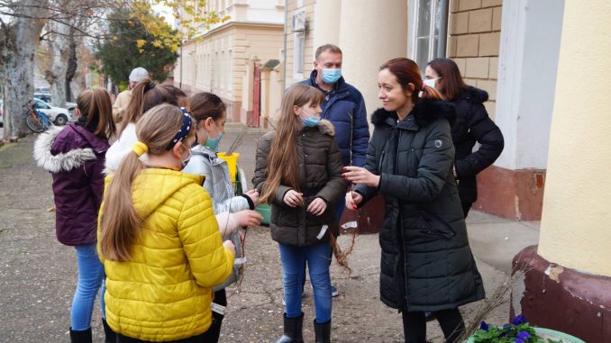 ВИШЕСТРУКИ ЗНАЧАЈ... основци и средњошколци преузимају садница белог јасена