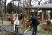 Акција Републичког ПИО фонда „Међугенерацијска подршка природи“ ПРИРОДА ЋЕ УМЕТИ ДА УЗВРАТИ