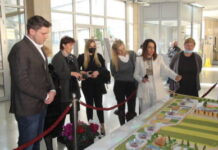 Почели радови на реконструкцији Тамишког кеја, будуће панчевачке променаде И ПАНЧЕВО ЋЕ СЕ УЛИВАТИ У ТАМИШ