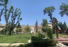 Општини Алибунар скоро милион и по евра од Пројекта ЛИИД НОВА ПРИЛИКА ЗА НОВЕ ПРОЈЕКТЕ