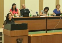 Акценти са 30. седнице Скупштине града Панчева НОВА АУТОБУСКА СТАНИЦА НА ВИДИКУ