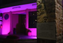 Обележен Светски дан борбе против Алцхајмерове болести ЉУБИЧАСТА БОЈА КАО ЗНАК УПОЗОРЕЊА