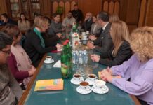 Кад је у питању инклузија Рома и Ромкиња, Град Вршац је пример добре праксе ИДЕ СЕ У НОВЕ ПРОЈЕКТЕ, НЕМА СТАЈАЊА