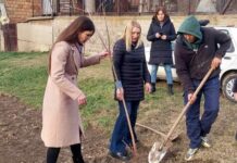 У акцији озелењавања насеља „Шумице“ и градска већница Катарина Бањаи ДА „ШУМИЦЕ“ БУДУ ЈОШ ШУМОВИТИЈЕ