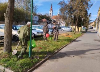 Још једна у низу акција Савета Месне заједнице Алибунар ДА УЛИЦЕ БУДЕ ШТО ЗЕЛЕНИЈЕ