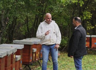 Нове мере градске власти за опоравак и развој пчеларства ЈЕР ПЧЕЛАРСТВО ЈЕ ВИШЕ ОД ПРИВРЕДНЕ ДЕЛАТНОСТИ
