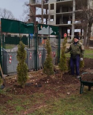 Наставља се заједничка акција радника ЈКП „Хигијена“ и ЈКП „Зеленило“ ОВОГ ПУТА И 20 ТУЈА НА ЗЕЛЕНГОРИ