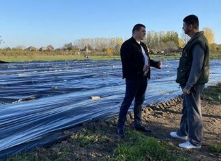Председник општине обишао радове на пошумљавању деградираних површина ДА ШТО ВИШЕ ГУДУРА БУДЕ ПОД ШУМОМ